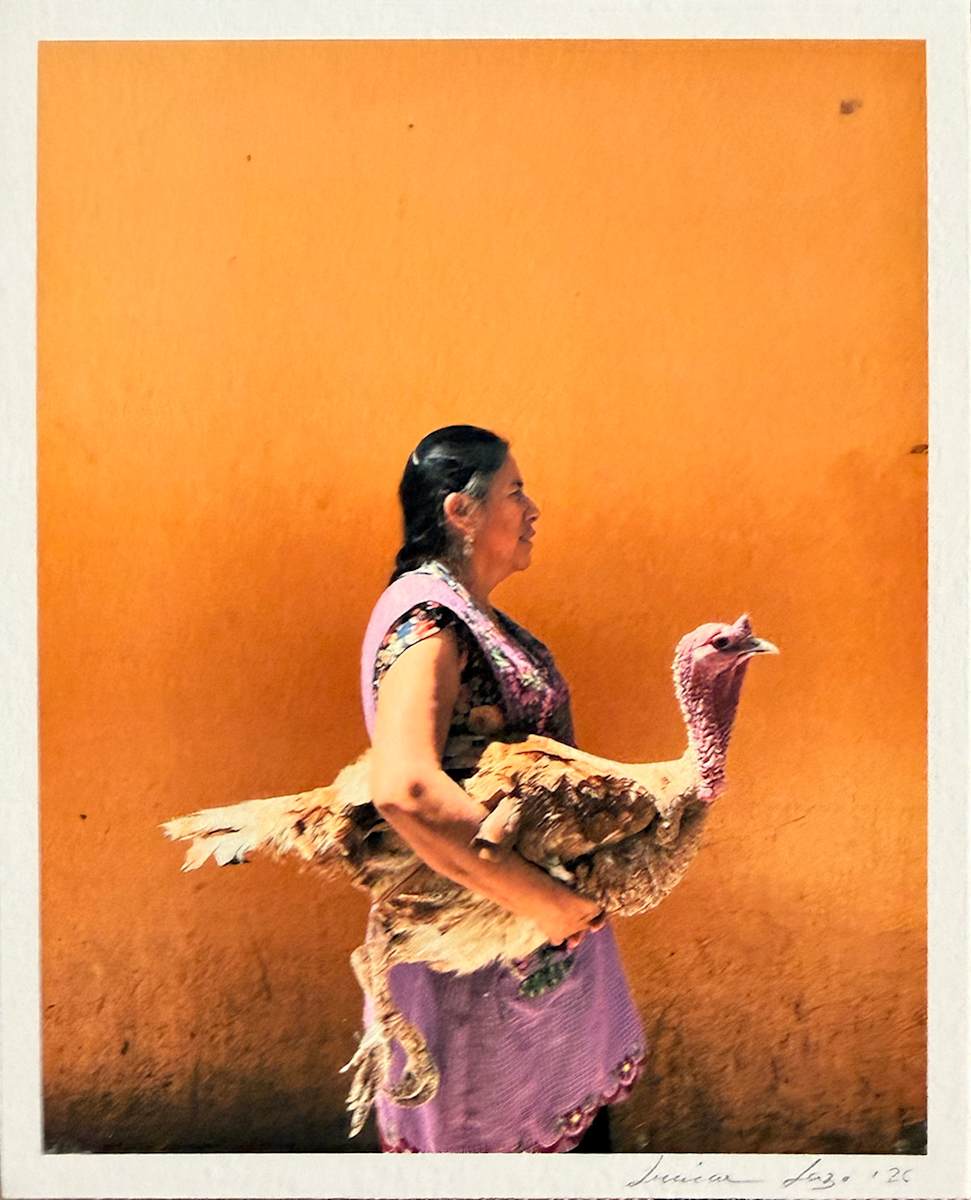 el pavo dorado by LUVIA LAZO, Image 1.