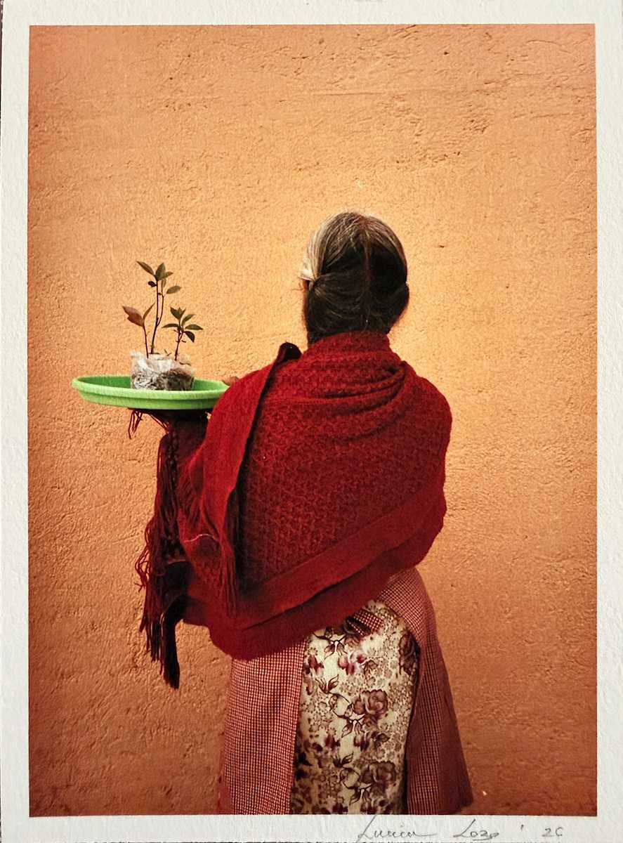 El puesto de aguacates by LUVIA LAZO, Image 1.