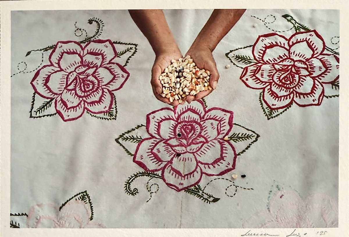Maíz en Flor by LUVIA LAZO, Image 1.