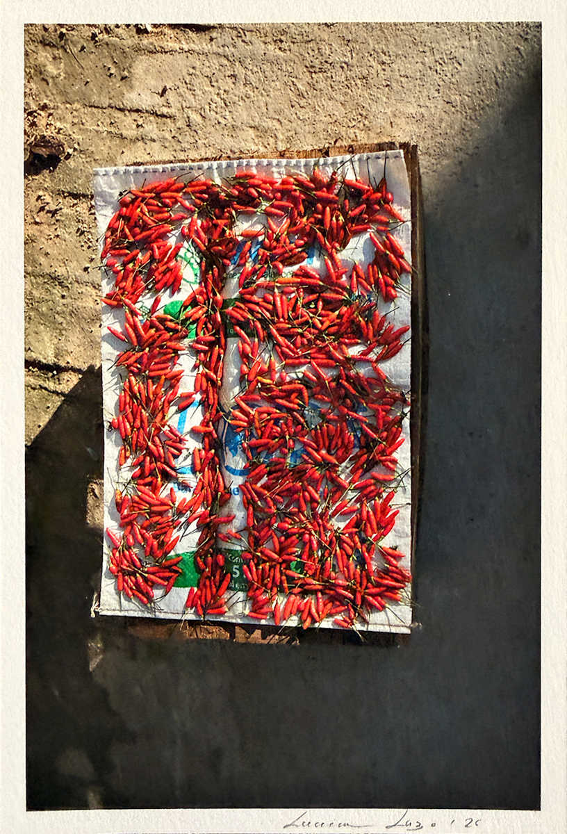 Secado de los Pimientos by LUVIA LAZO, Image 1.