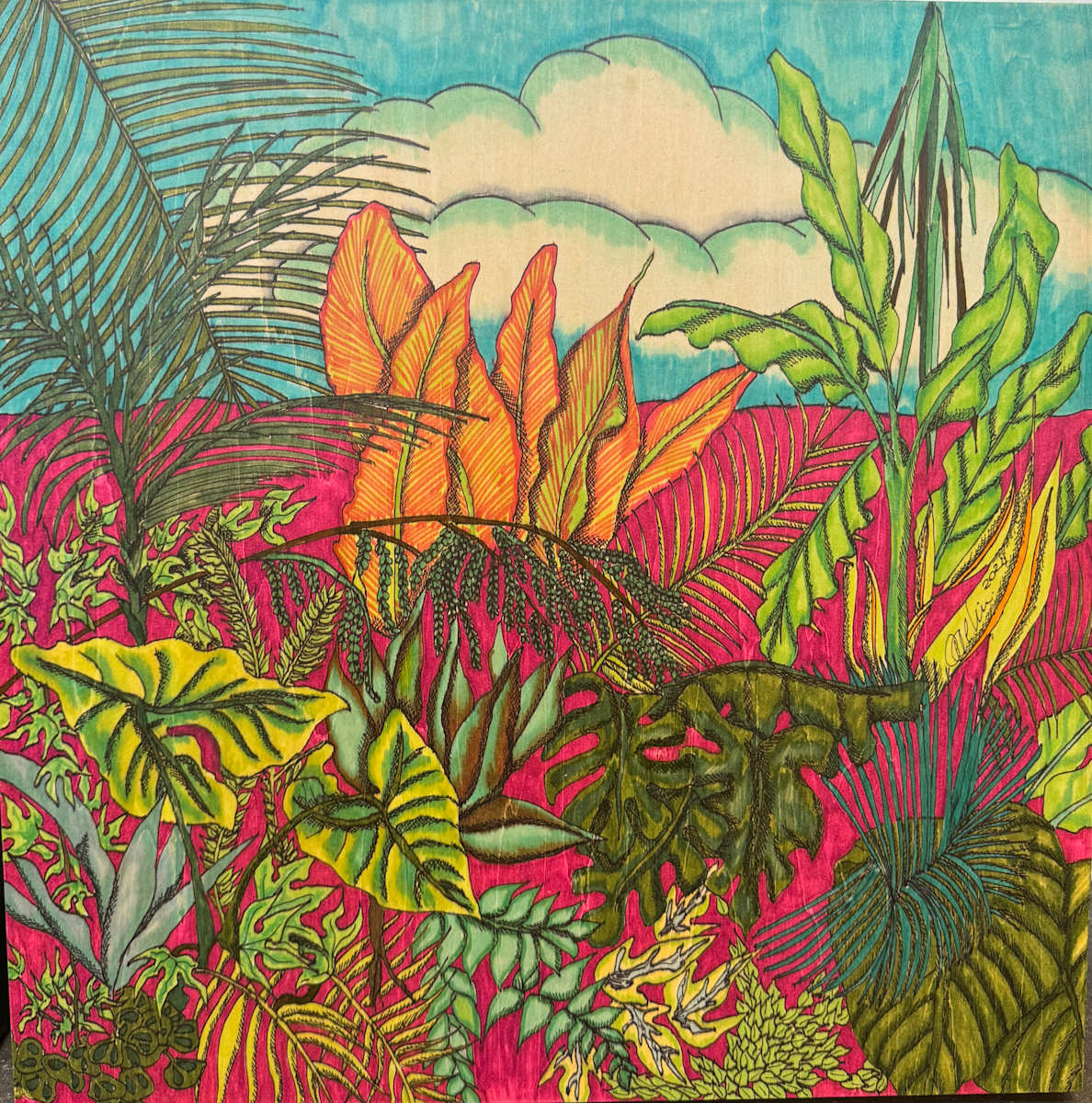 Tropics by ALESSANDRA ALBIN, Image 1.