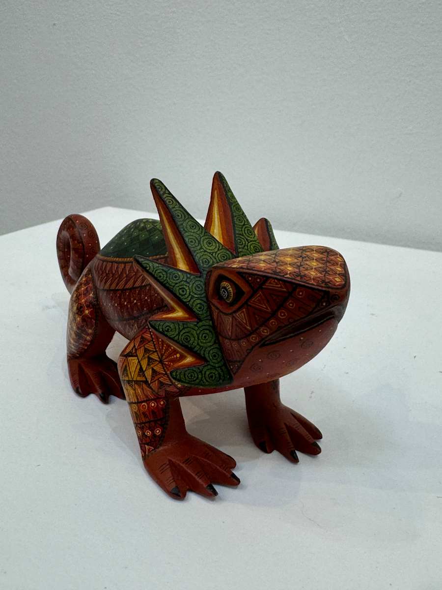 Camaleon Observando by DAVID HERNANDEZ, Image 1.