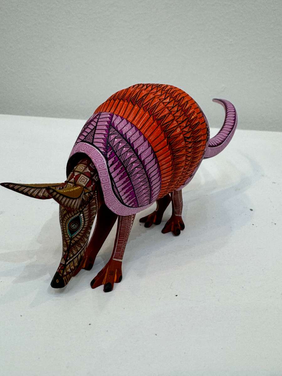 Armadillo #253 by JACOBO Y MARIA ANGELES, Image 1.