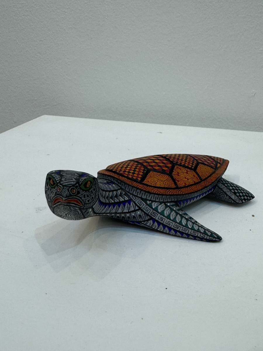 Tortuga Atenta by DAVID HERNANDEZ, Image 1.