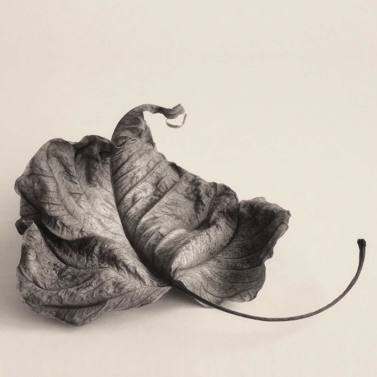 Intimate Meditation  13 by Carlos Ocando, Image 1.