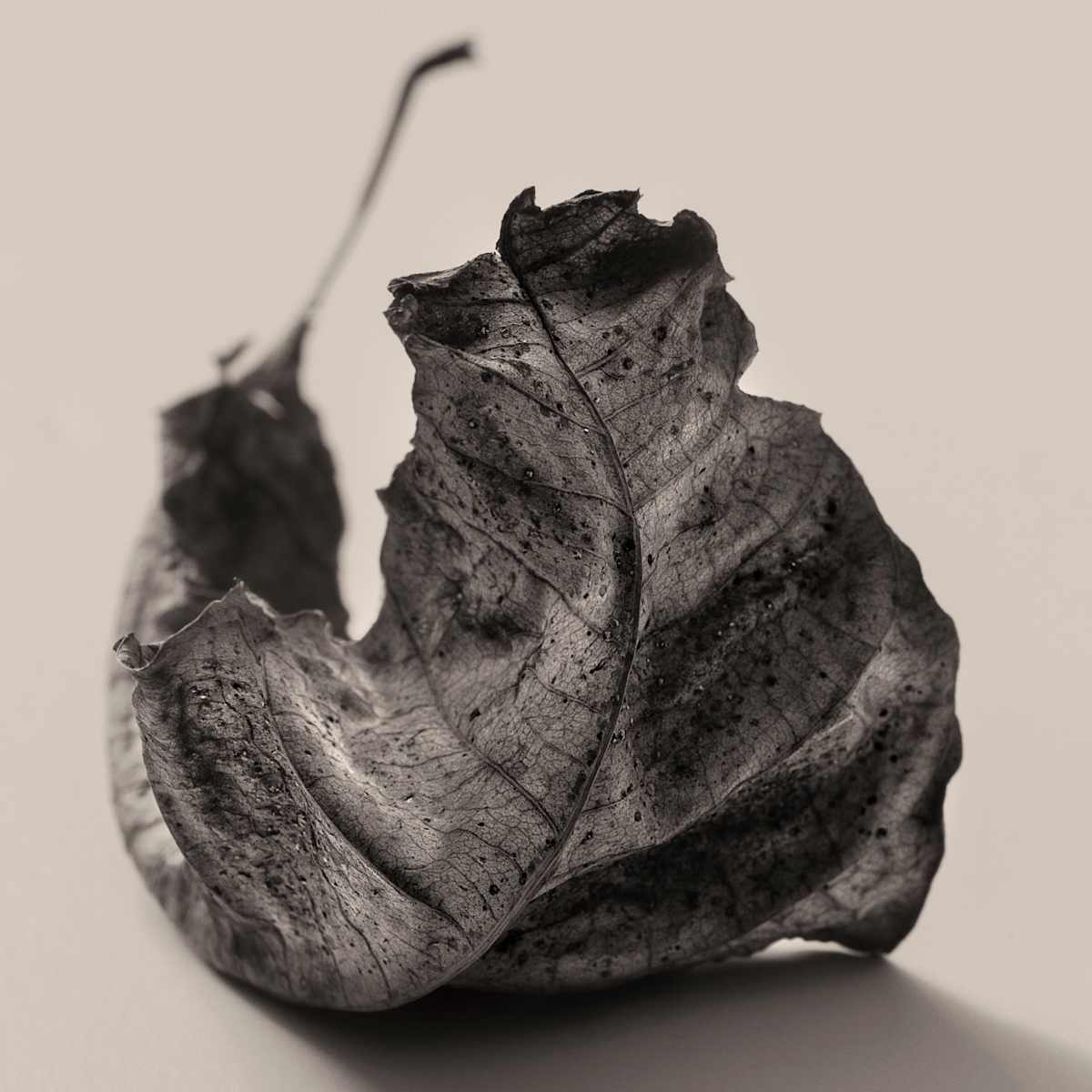 Intimate Meditation  3 by Carlos Ocando, Image 1.