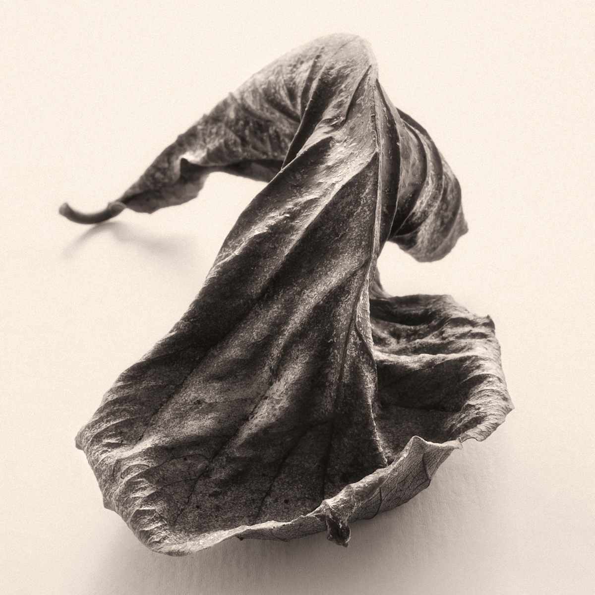 Intimate Meditation  4 by Carlos Ocando, Image 1.
