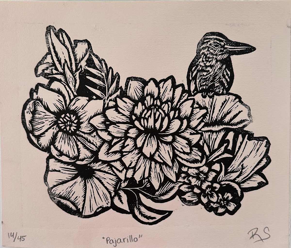 Pajarillo 14/45 by REBECA SERRANO, Image 1.