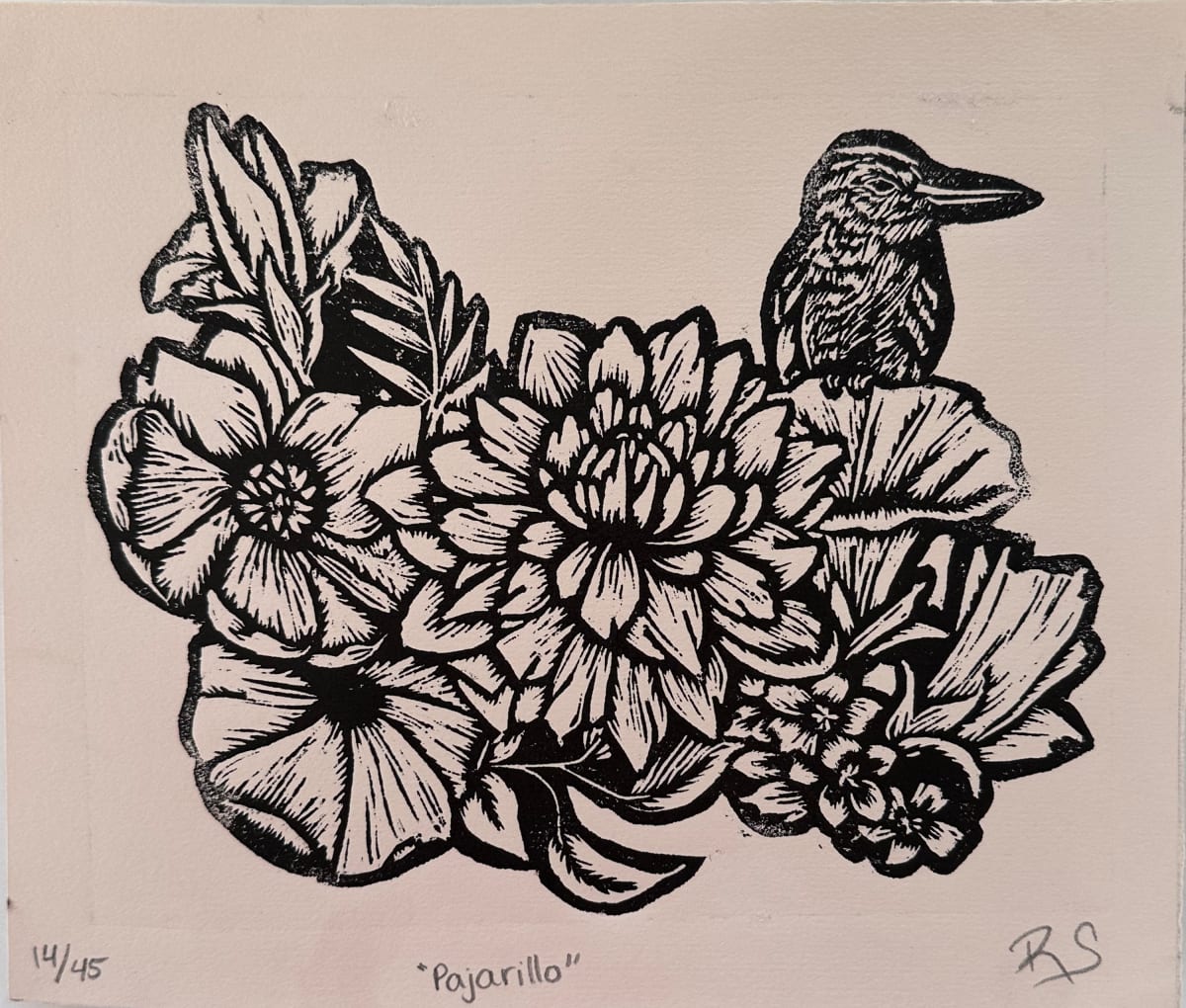 Pajarillo 14/45 by REBECA SERRANO, Image 1.