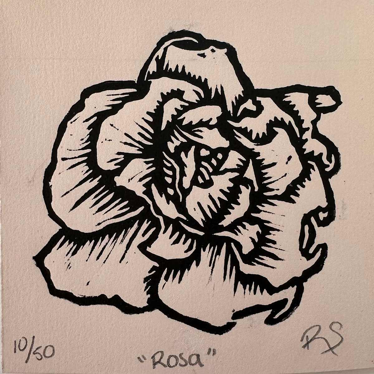 Rosa 9/60 by REBECA SERRANO, Image 1.