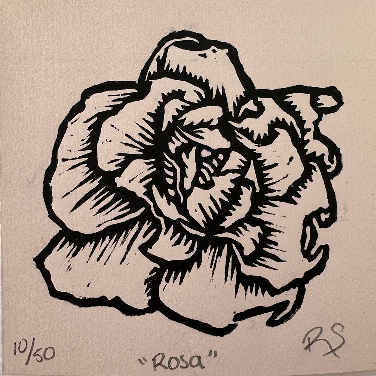 Rosa 9/60 by REBECA SERRANO, Image 1.