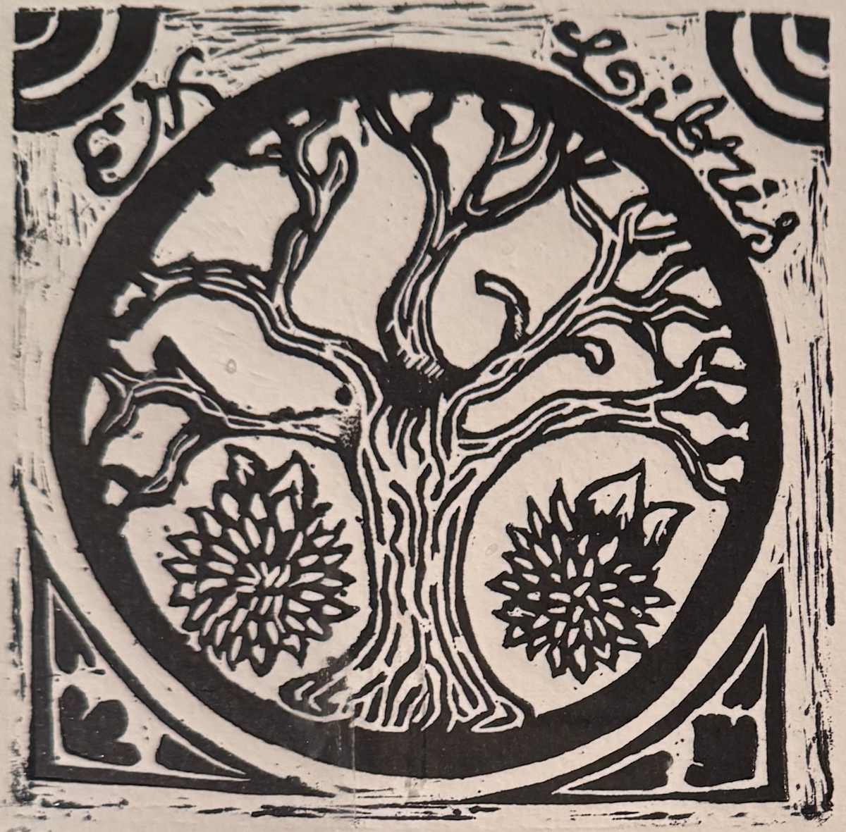 Vida 3/9 by REBECA SERRANO, Image 1.