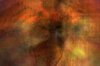 Inner Shadows by Alfonso Bonilla, Image 1.