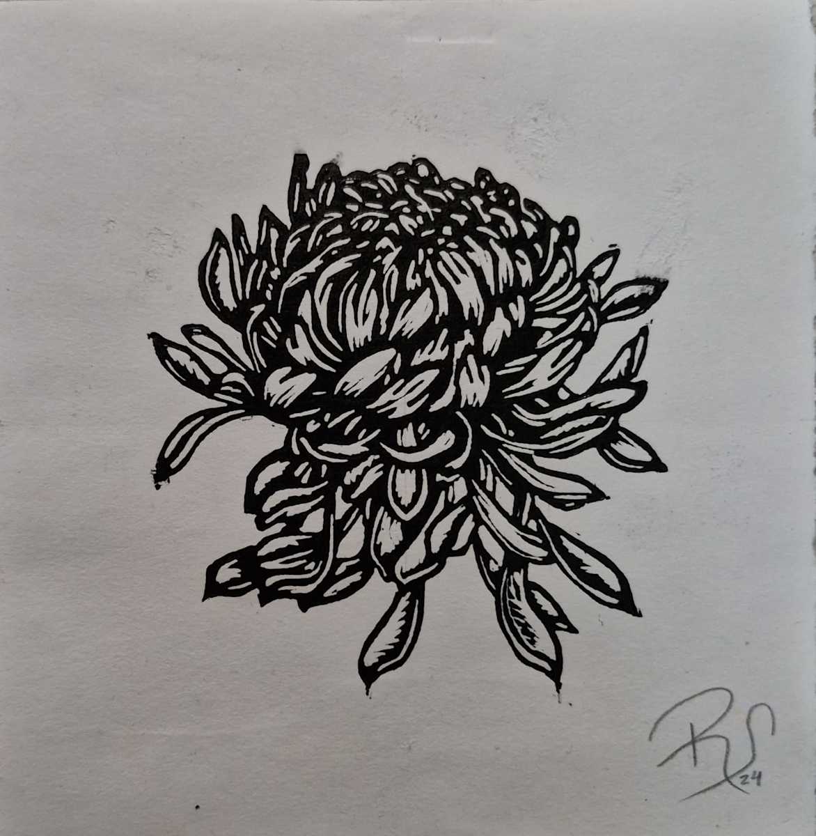 Mi Crisantemo 5/30 by REBECA SERRANO, Image 1.