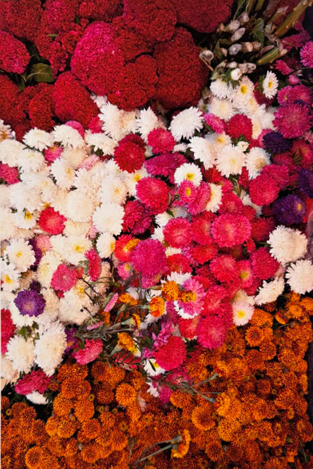 Flowers by LUVIA LAZO, Image 1.