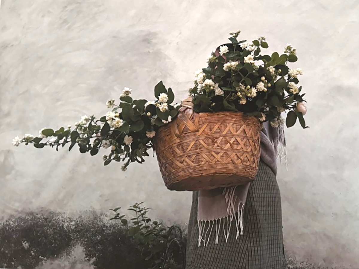 Jazmín Zapoteco by LUVIA LAZO, Image 3.