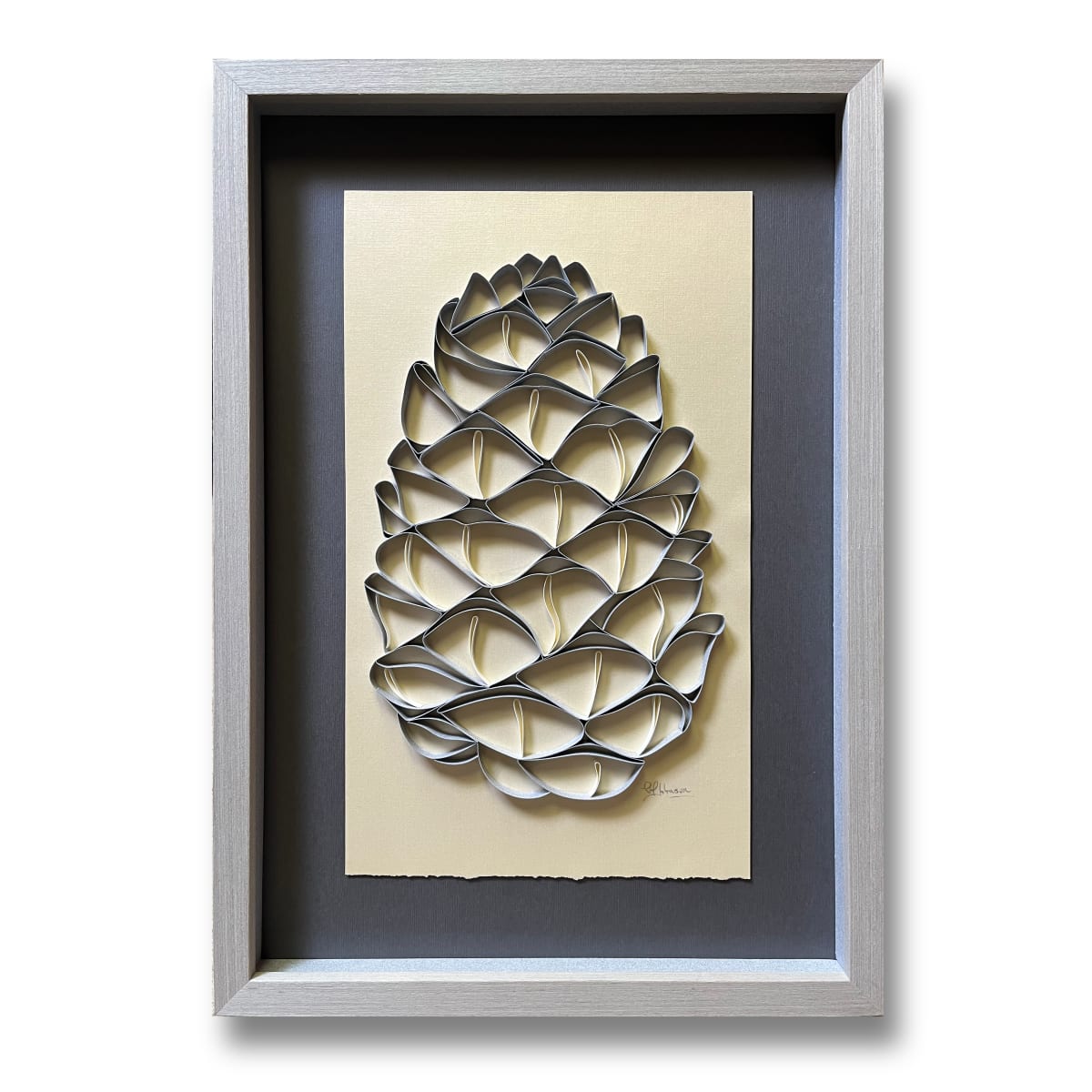 Pinecone I 