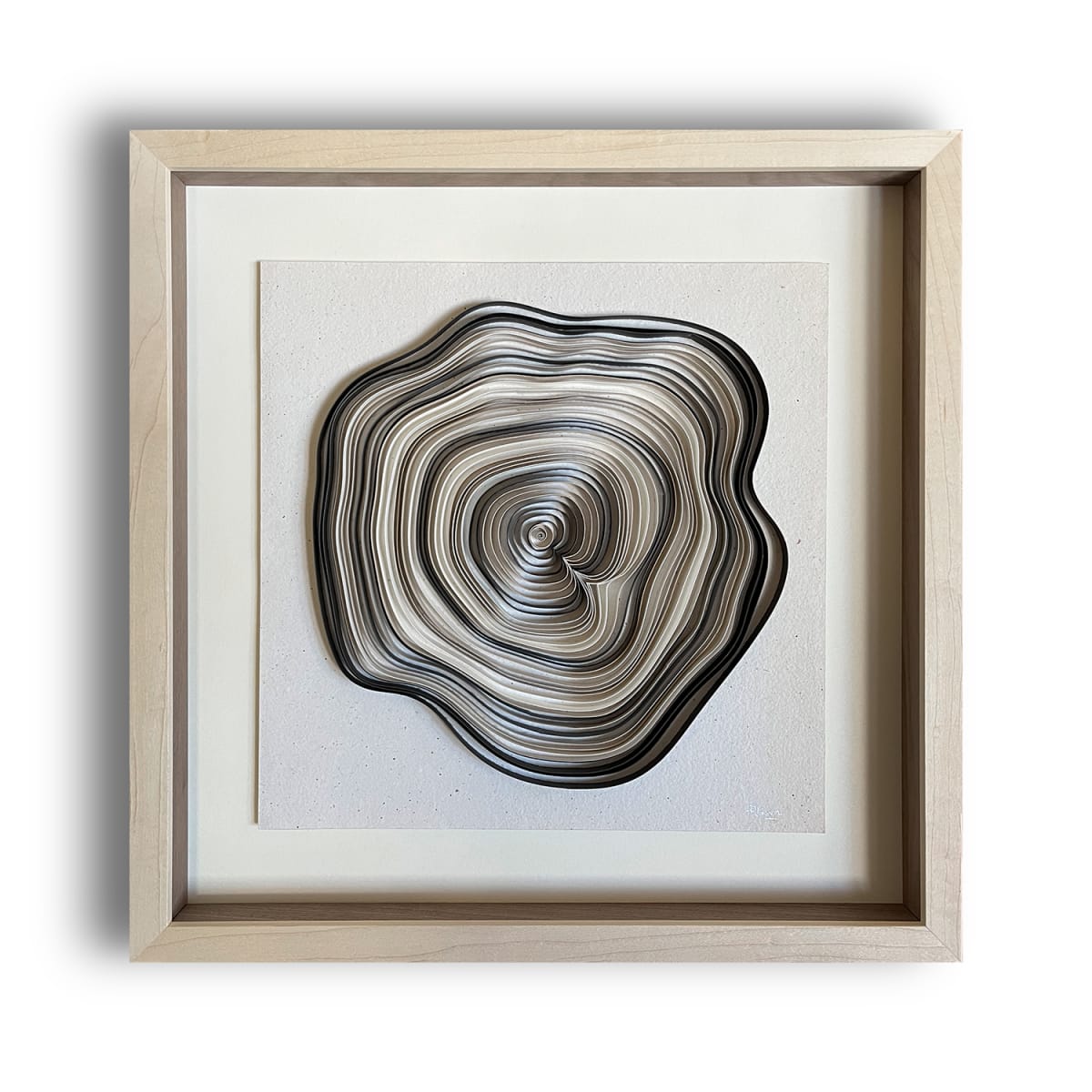 Growth Rings No.1 by Paulina M Johnson 