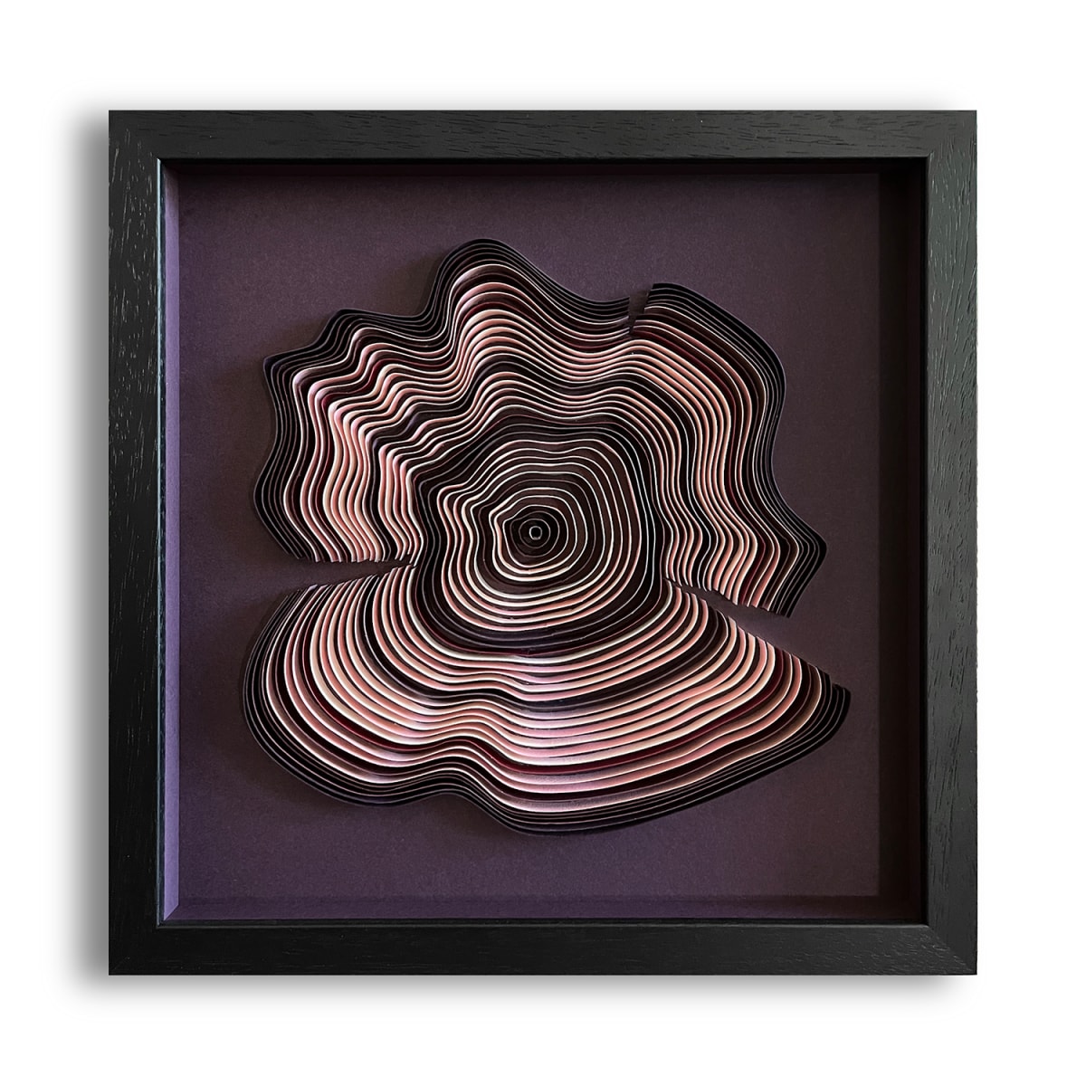 Growth Rings no.2 by Paulina M Johnson, Image 1.
