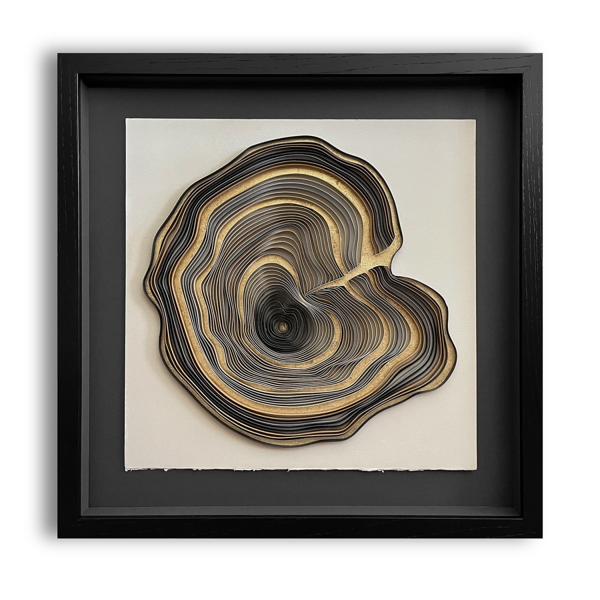 Growth Rings no. 3 by Paulina M Johnson 