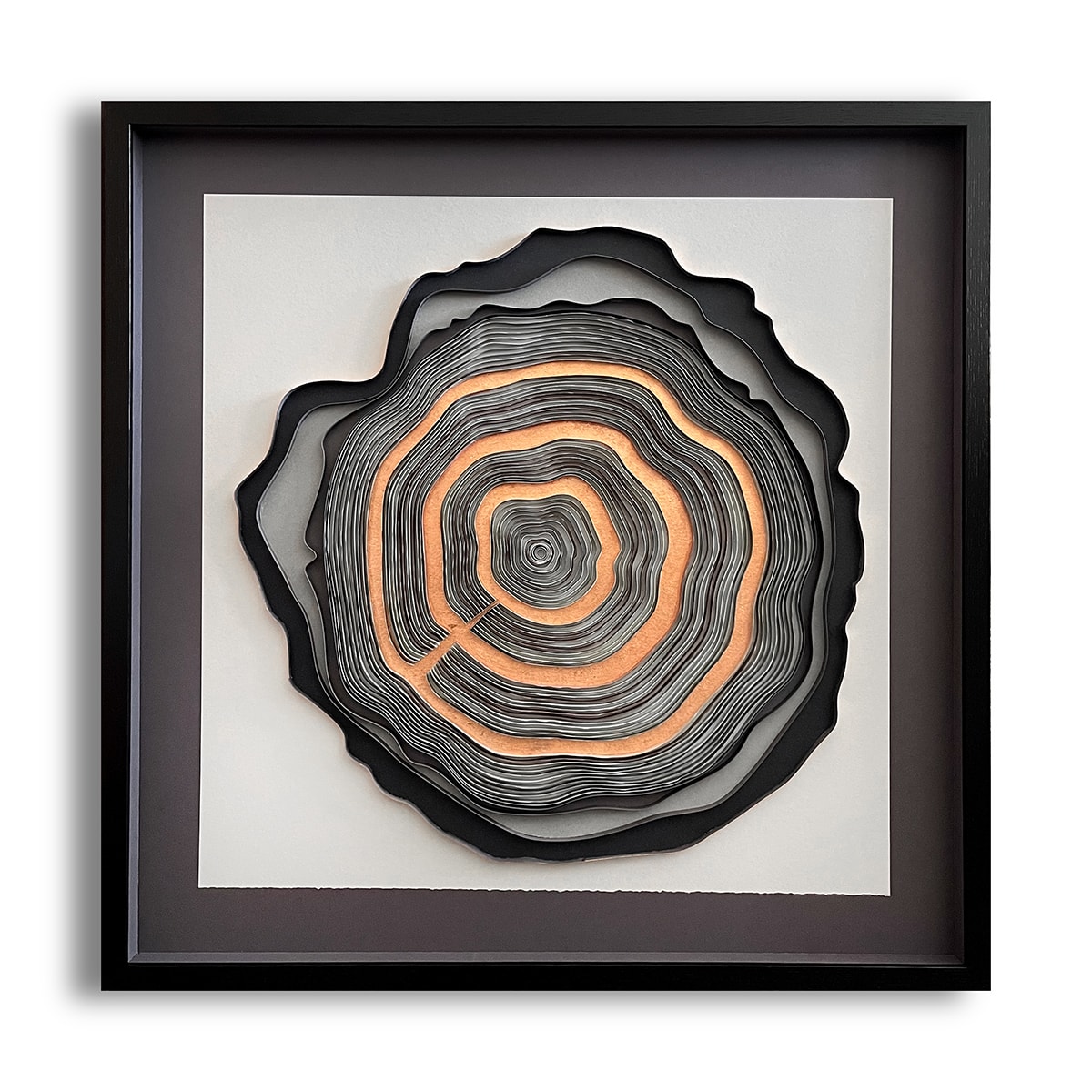 Growth Rings no.4 by Paulina M Johnson 