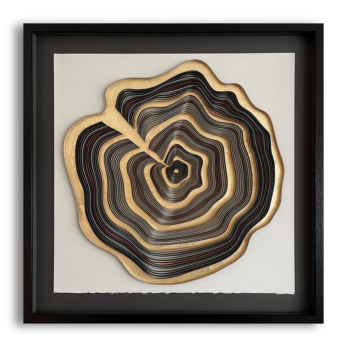 Growth Rings no.5 by Paulina M Johnson 