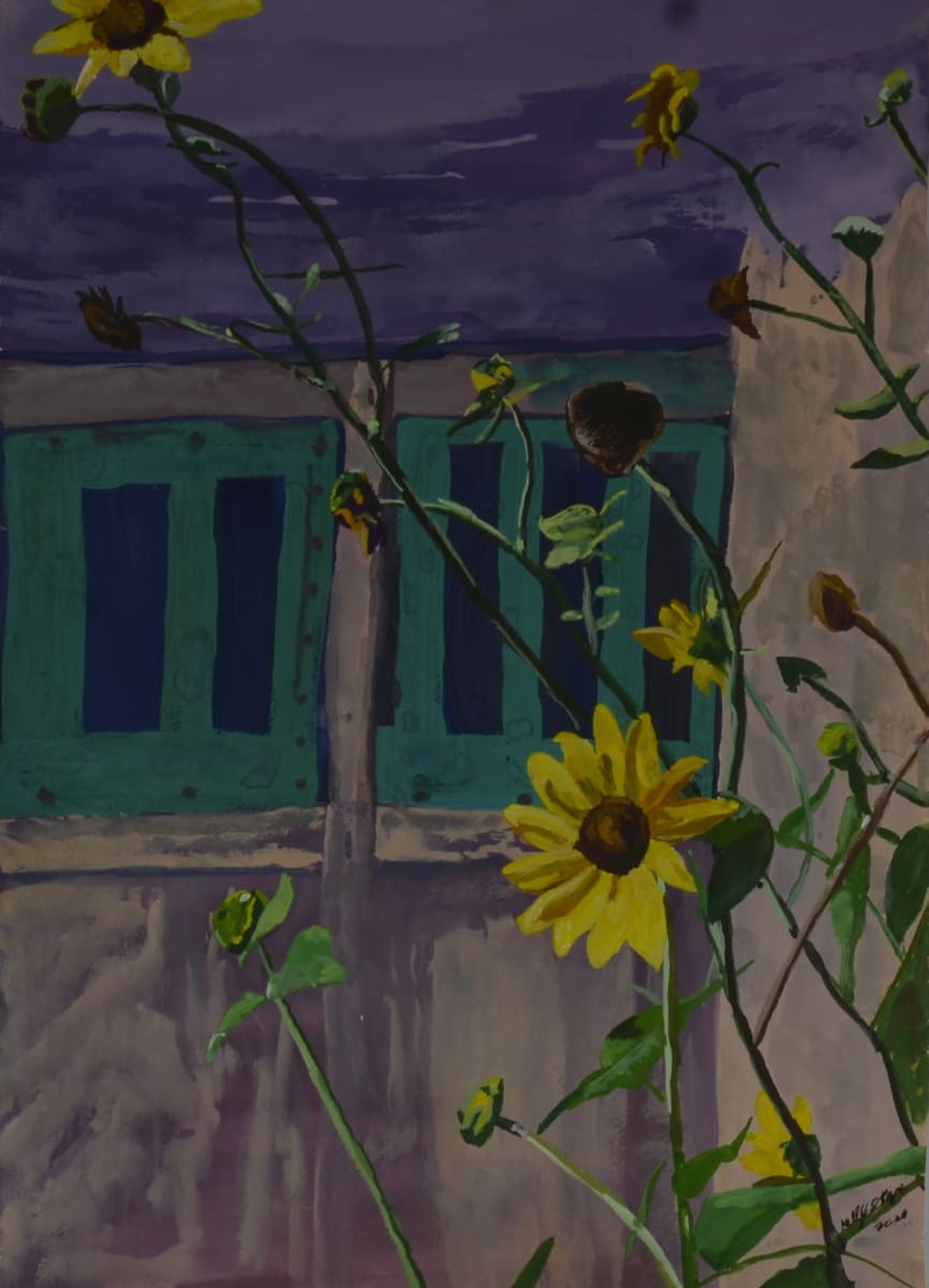 Sunflowers on the green  window 