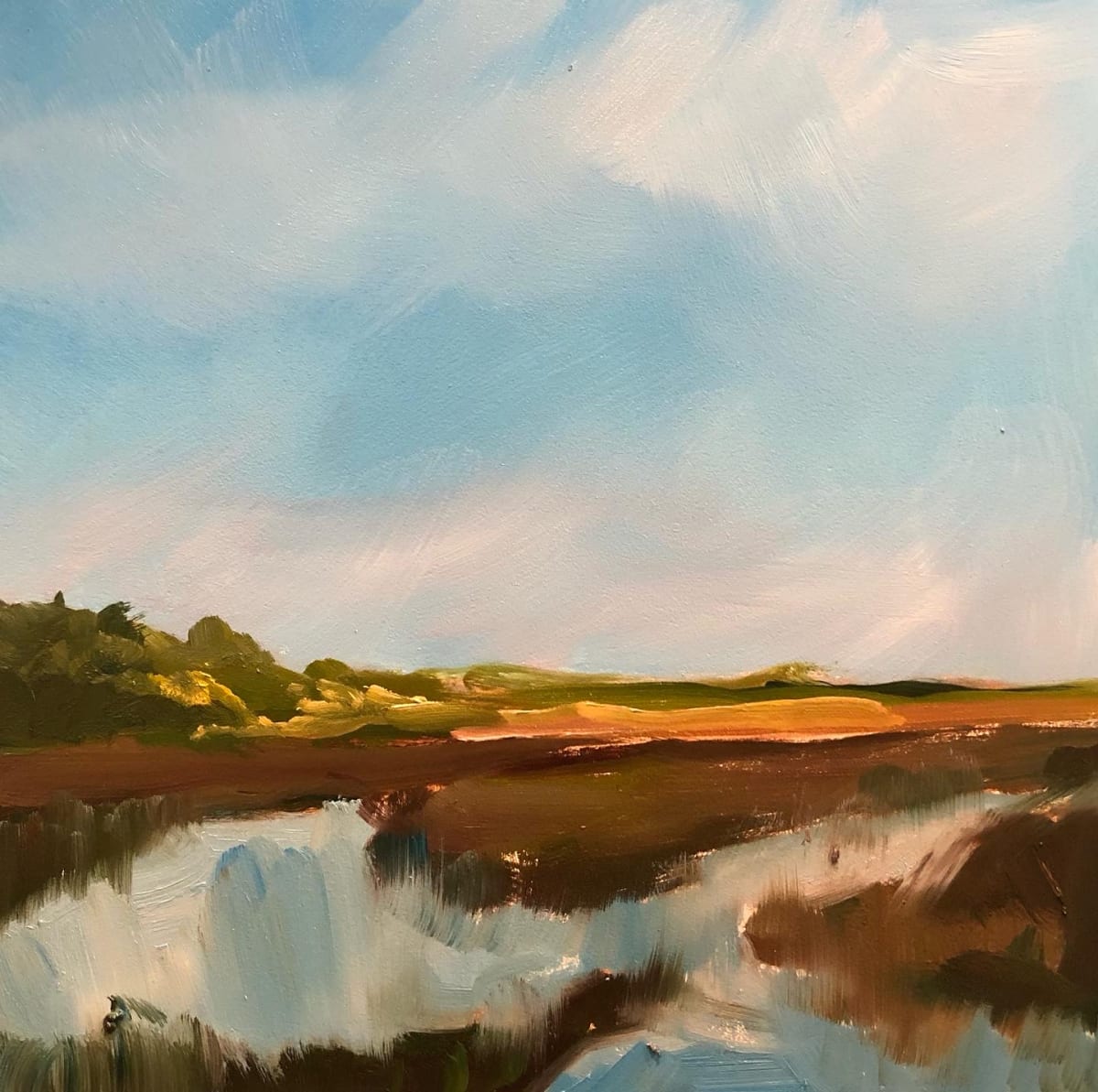 small scape-low country #8  Image: Scape Sketch Collection-special places on my journey of life

scape sketch-low country #8

6x6 oil on ampersand museum gesso panel 2022

This painting was inspired by the views of the marshlands in the low country of South Carolina.