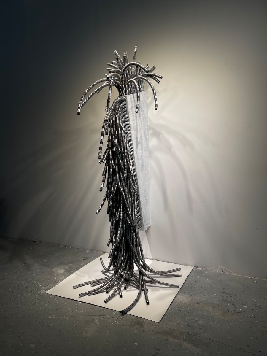 Wiggy by K. Anders Anderson, Image 1.