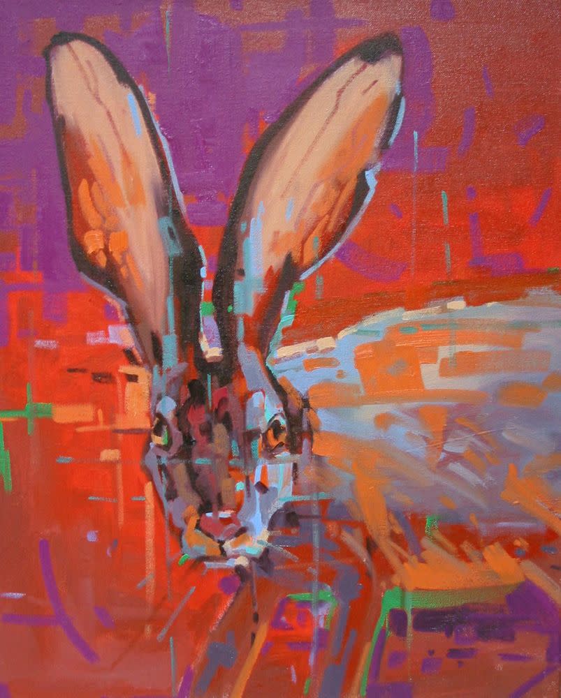 Jack Rabbit by Tim Norton 
