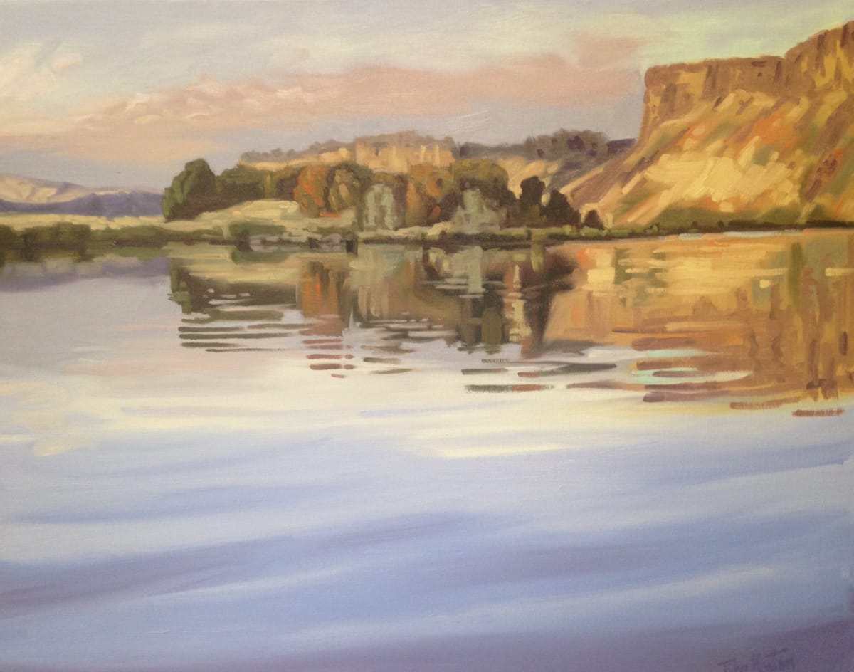 Massacre Rocks by Tim Norton 