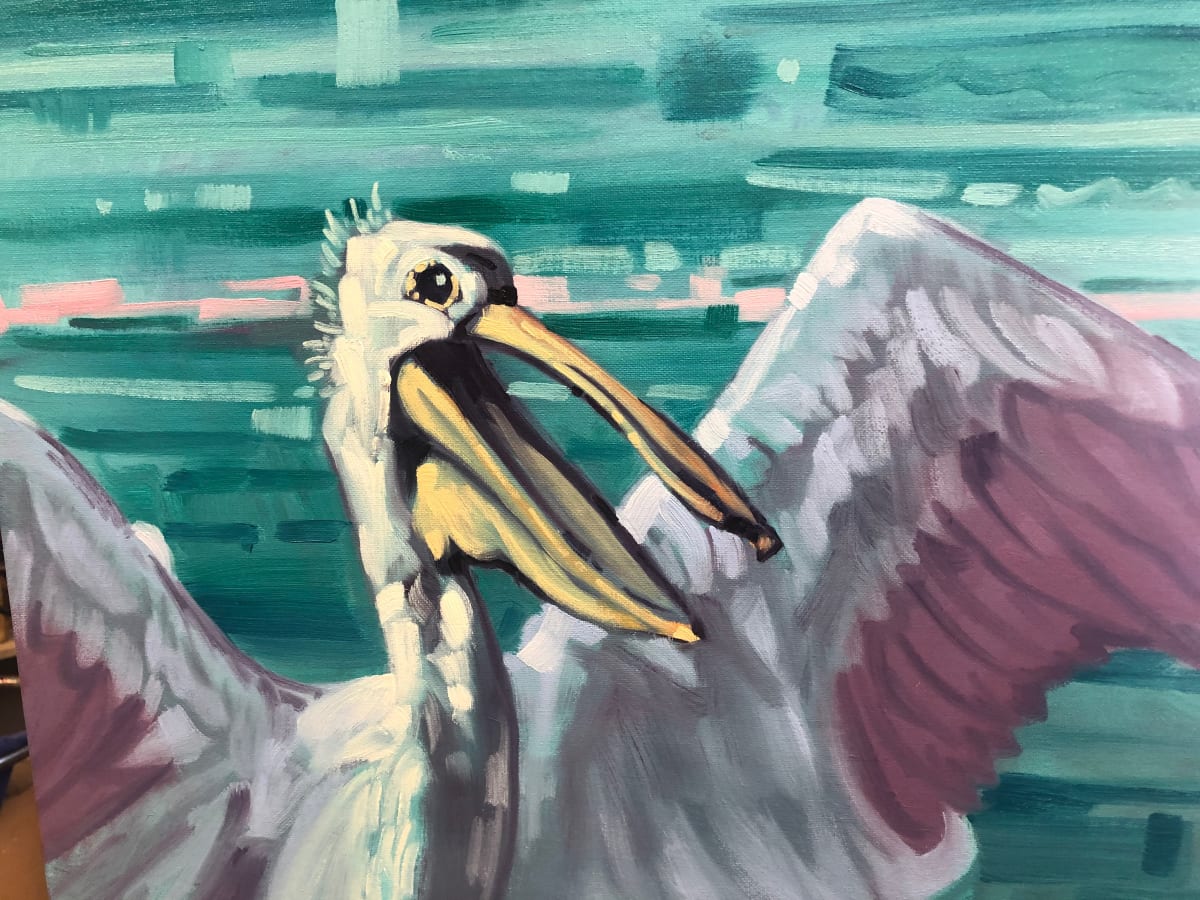 Pelican Study by Tim Norton 