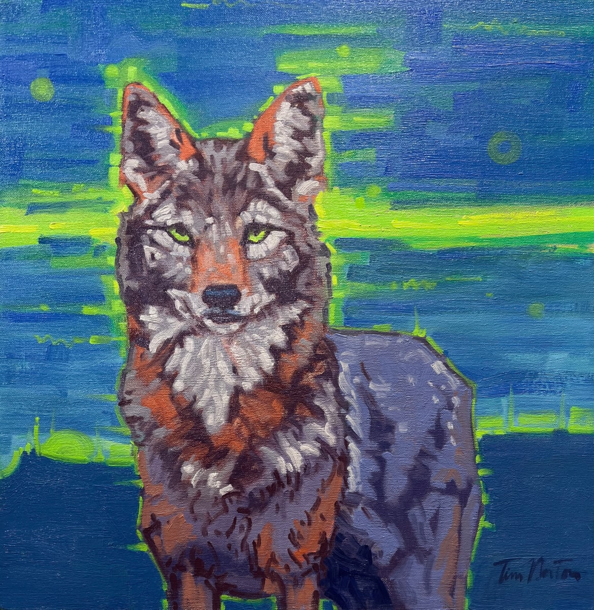 Green Eyed Coyote by Tim Norton 