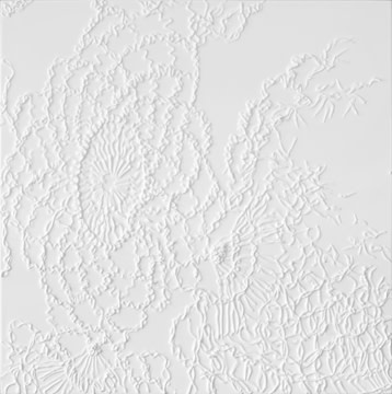 Tattered Memory by Eugenia Pardue 