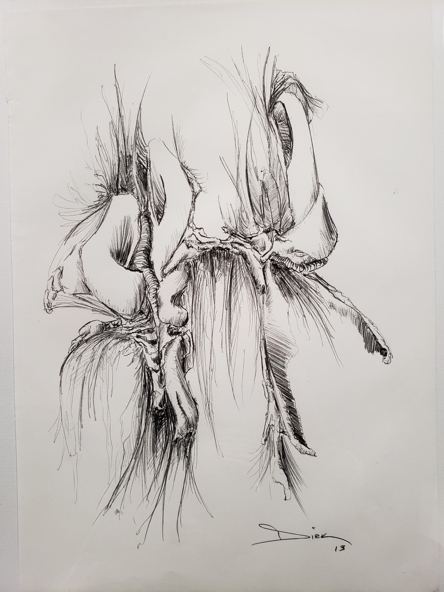 Drawing 3 by Dirk Guidry 