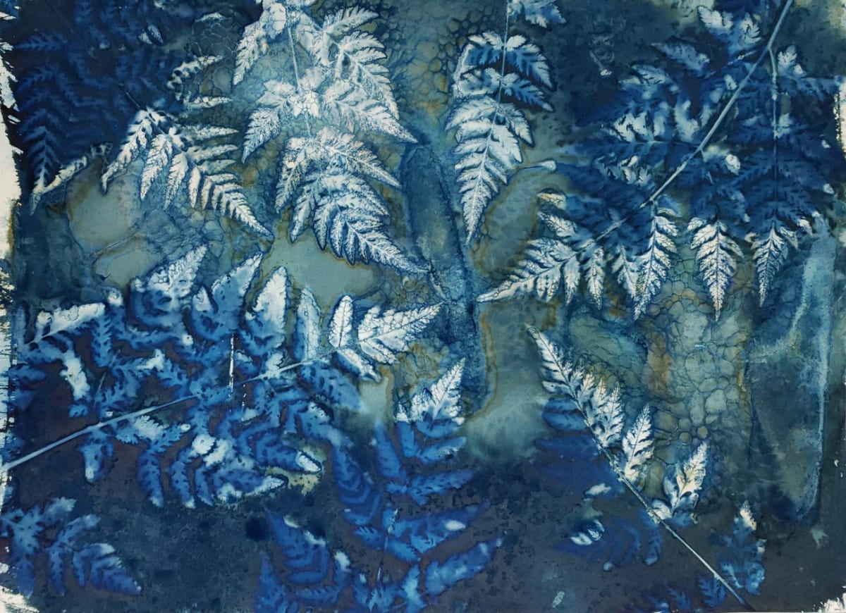 Seven Beauty Tips by Madge Evers  Image: A cyanotype created with the “wet” process; depicts the leaves of chervil.