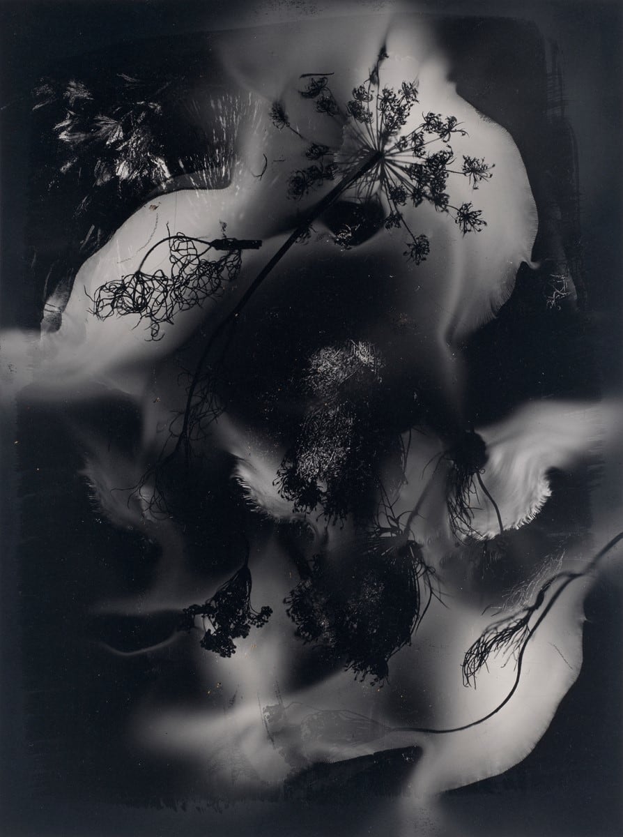 Dancing Up a  River in the Dark 