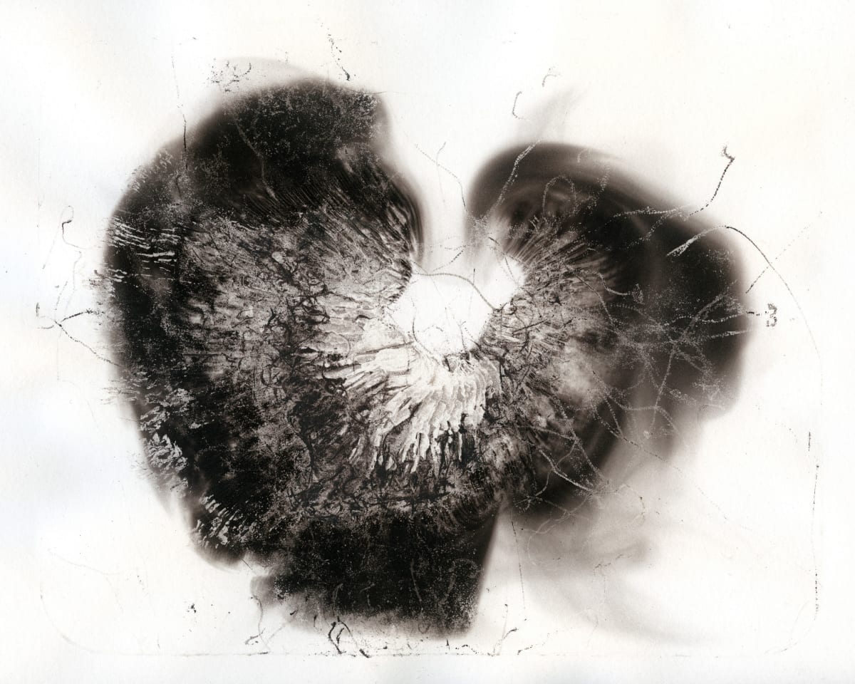 Black Crow by Madge Evers 