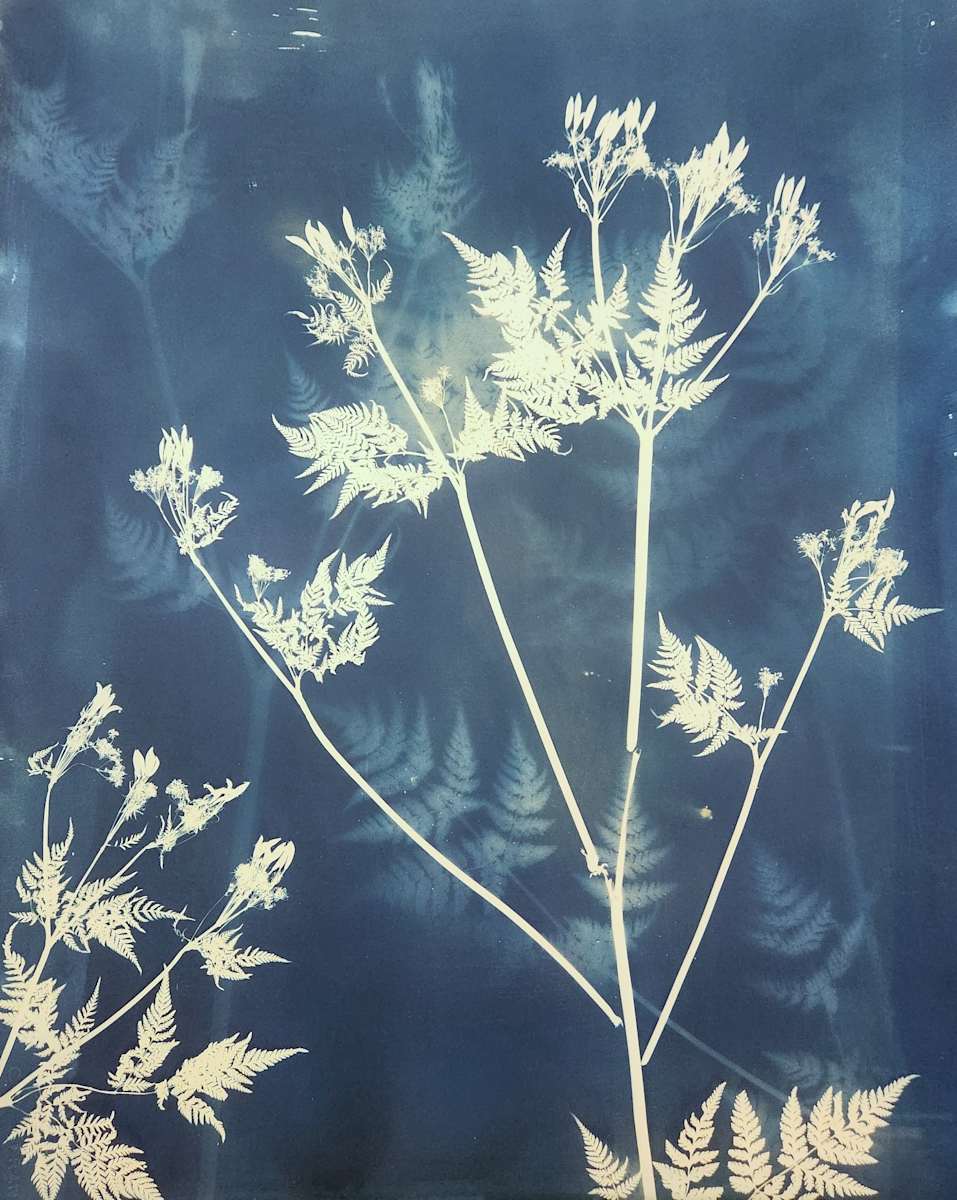 Murmur, iii by Madge Evers 