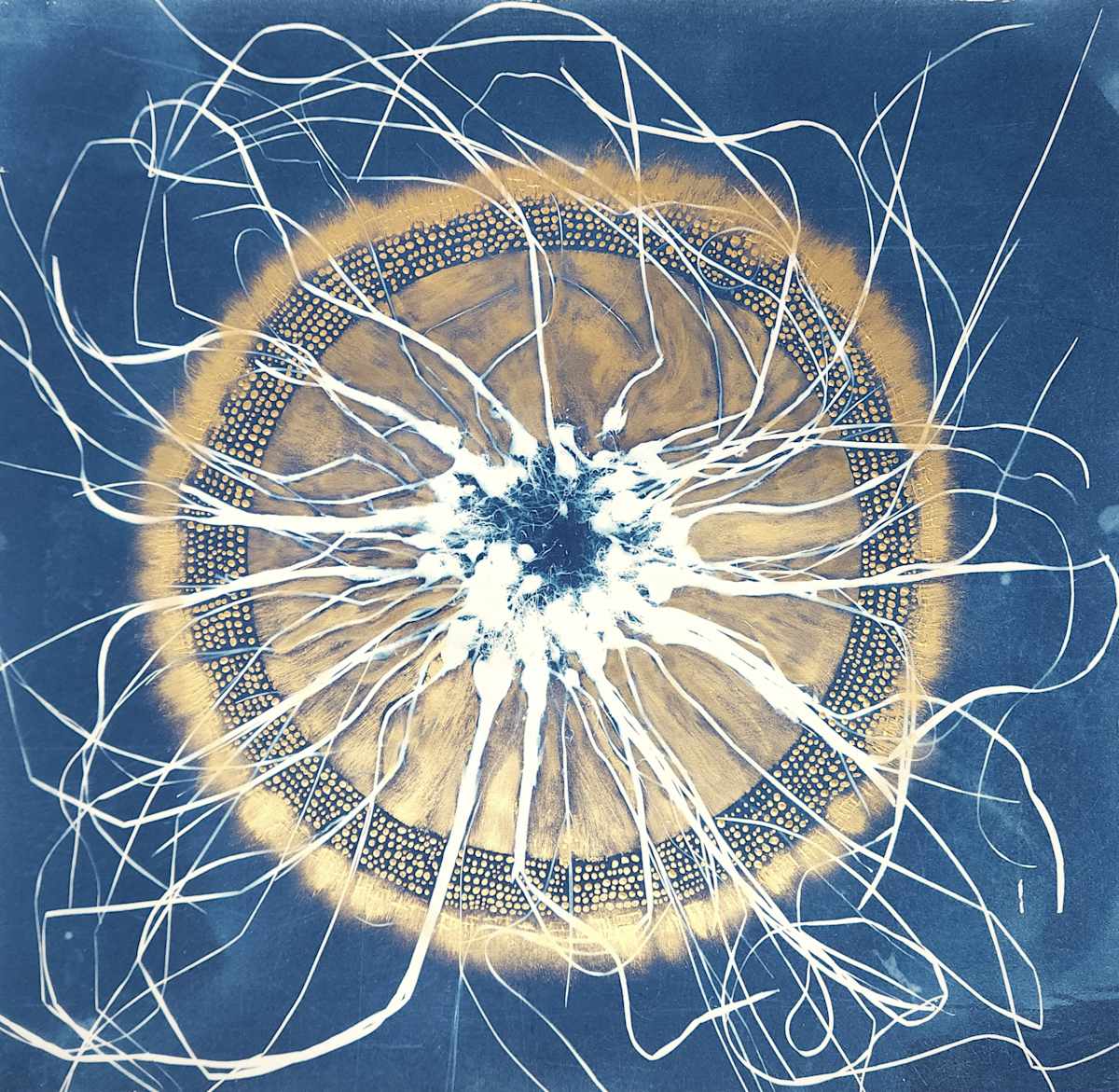 Equinox, Oak Spring II by Madge Evers  Image: cyanotype, ink, and acrylic, 20 x 18-inches; 2024
This image began as a cyanotype photogram created with Allium vineale I gathered at Oak Spring Garden Foundation artist residency in April of 2023. Wild and edible onion grass appears in early spring and online, there's lots of advice about how to eradicate it from one’s lawn.
Also available as a limited edition inkjet print.