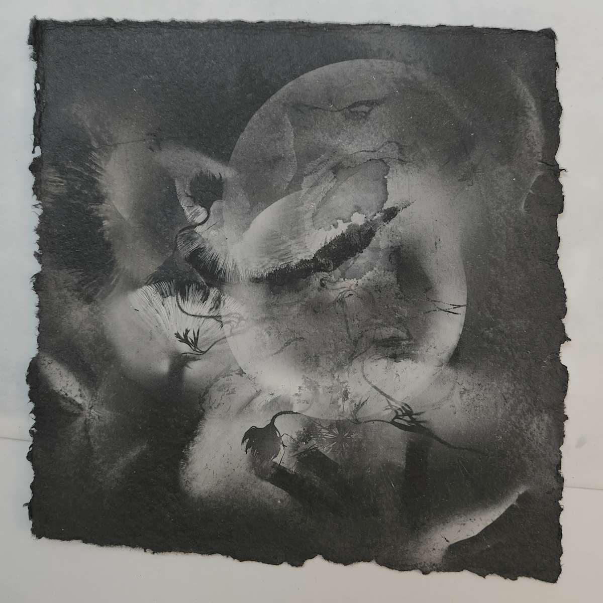 Cloud Island 20 by Madge Evers  Image: Mushroom spore print on handmade paper with deckled (and slightly uneven) edges.