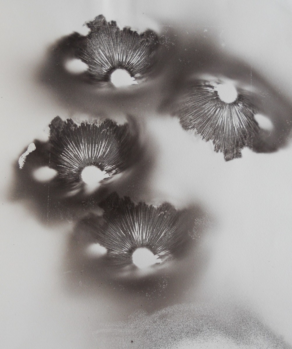 Hold Fast, Dreamers by Madge Evers 