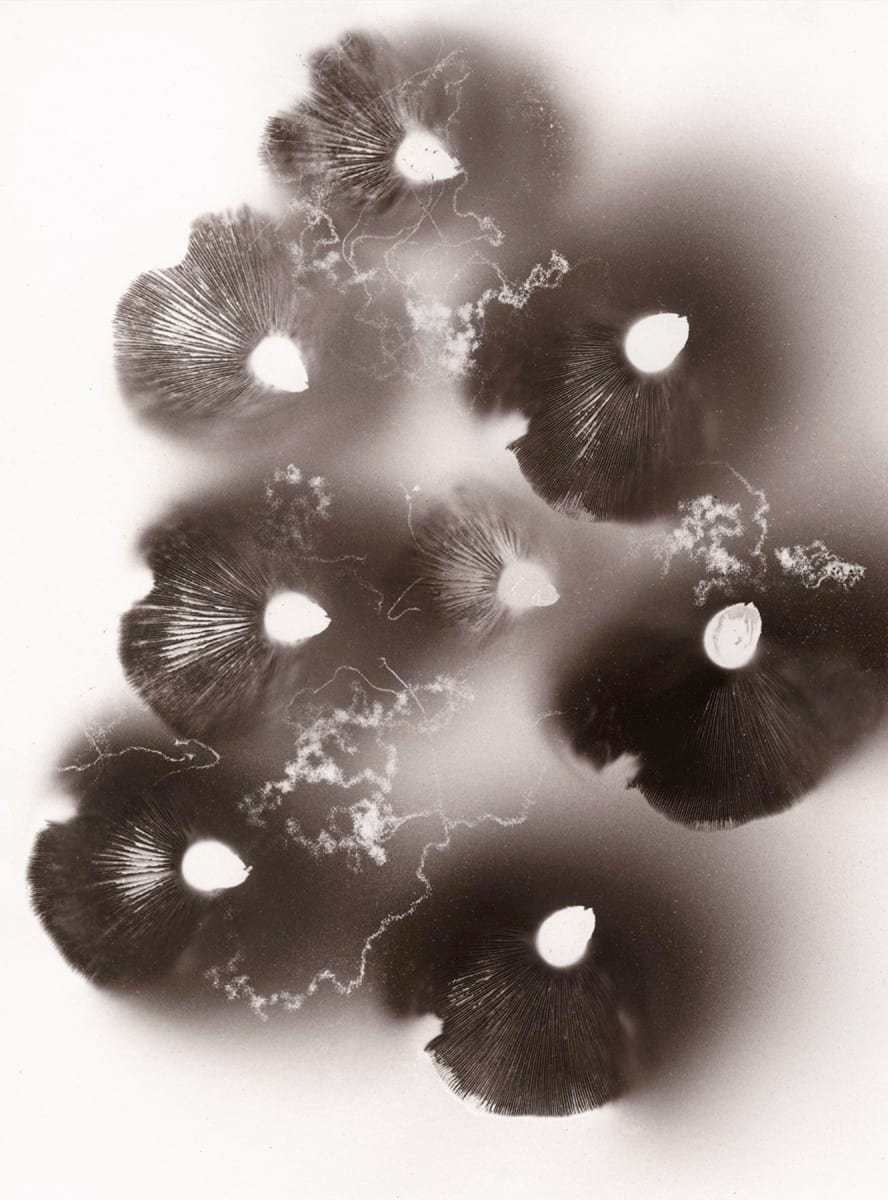 This Is Your Hometown by Madge Evers 