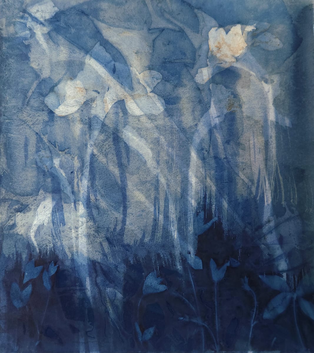 Tulip and Chickweed I by Madge Evers  Image: Multi-layered cyanotype. First Tulip layer made at Oak Spring Garden Foundation. Second layer made with chickweed from my garden. 