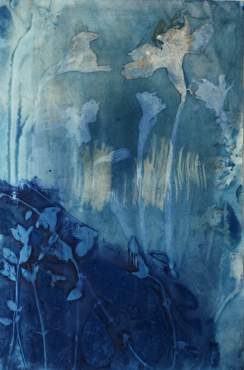 Tulip and Chickweed II by Madge Evers  Image: Multi-layered cyanotype. Tulip layer was made during an artist residency at Oak Spring Garden Foundation in April of 2023. The chickweed layer was made with plants from my garden.