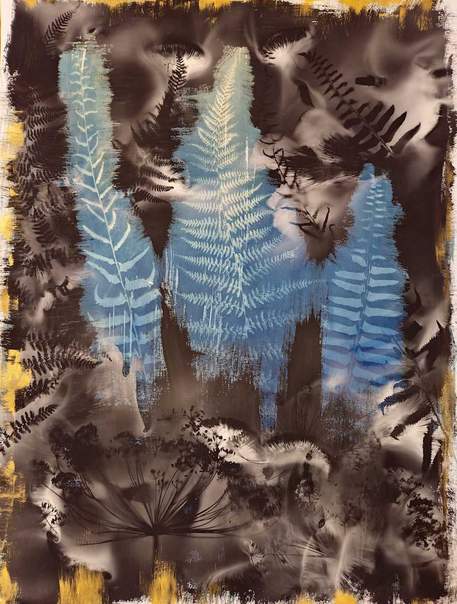 Ferns + Big Anethum by Madge Evers 