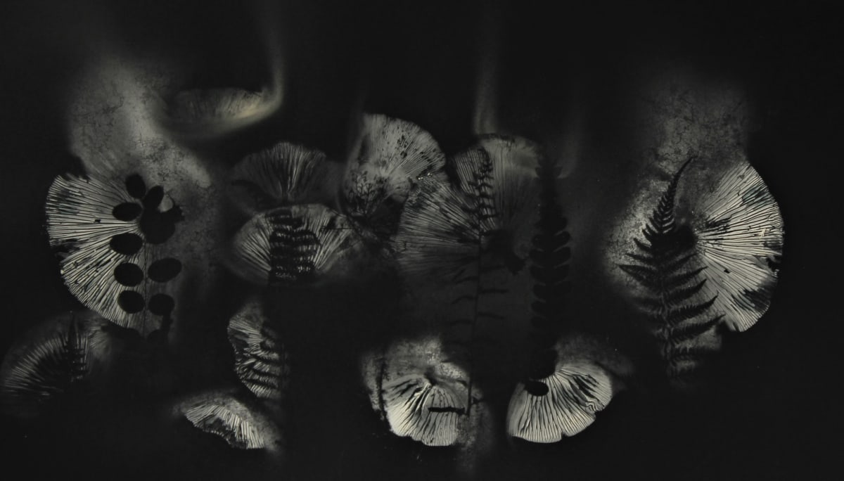 Forest, Deep & Mighty 