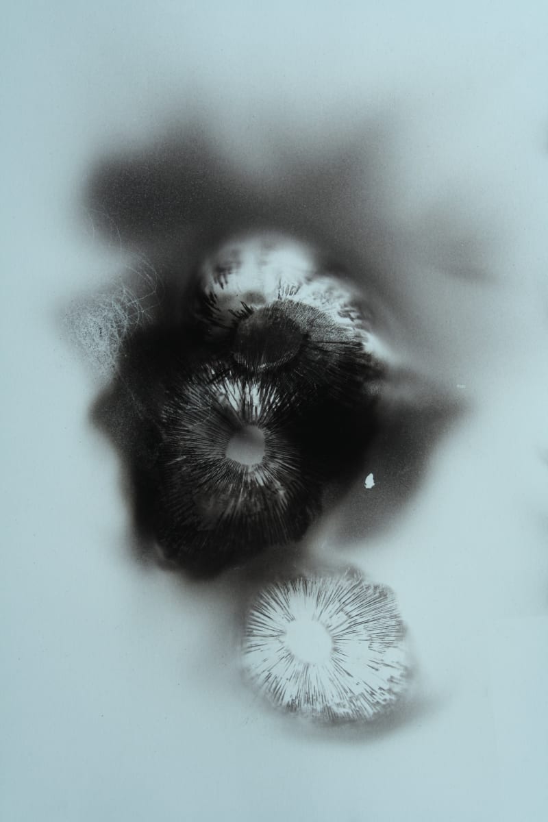 From the Dark Days by Madge Evers 