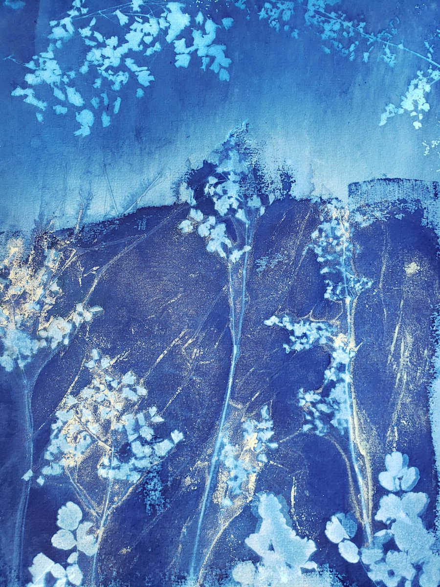 Ghost Tree, Sunrise by Madge Evers 