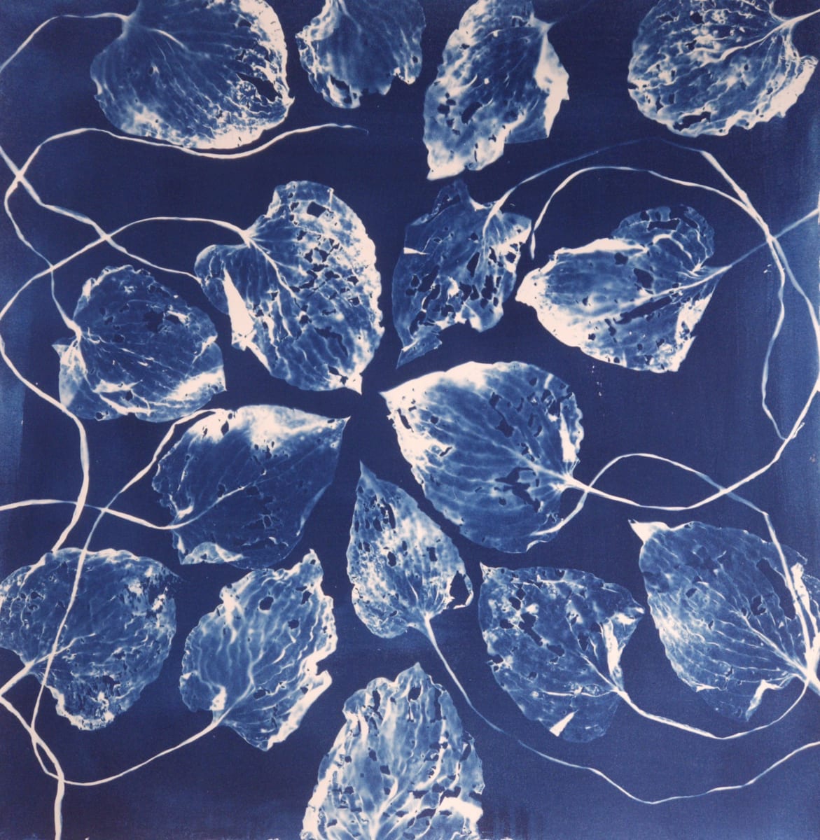 Gathering Interest by Madge Evers 